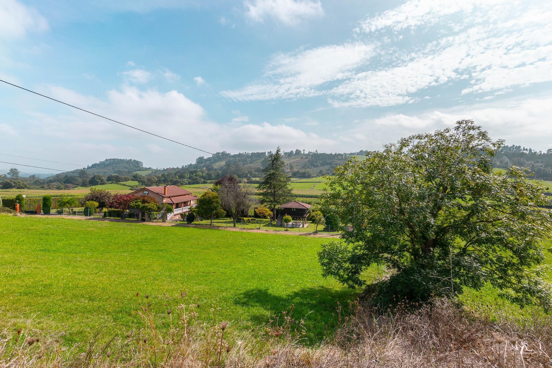 Fincas y solares-Venta-Las Regueras-1746733-Foto-9