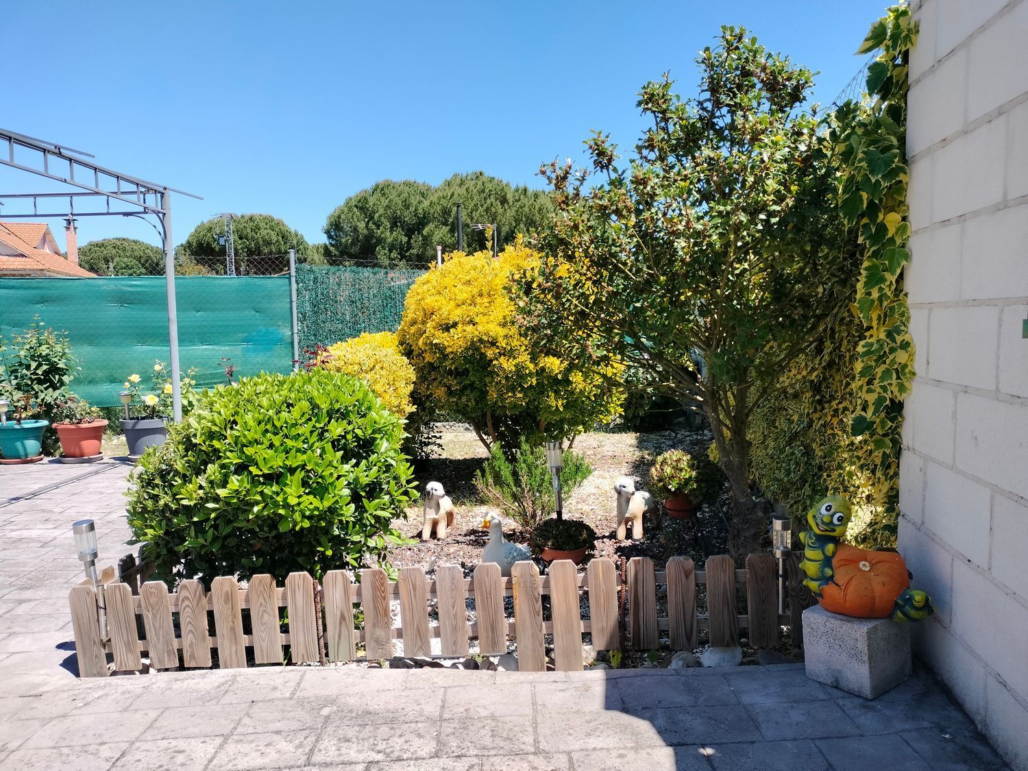 Casas o chalets-Venta-Traspinedo-1746721-Foto-31