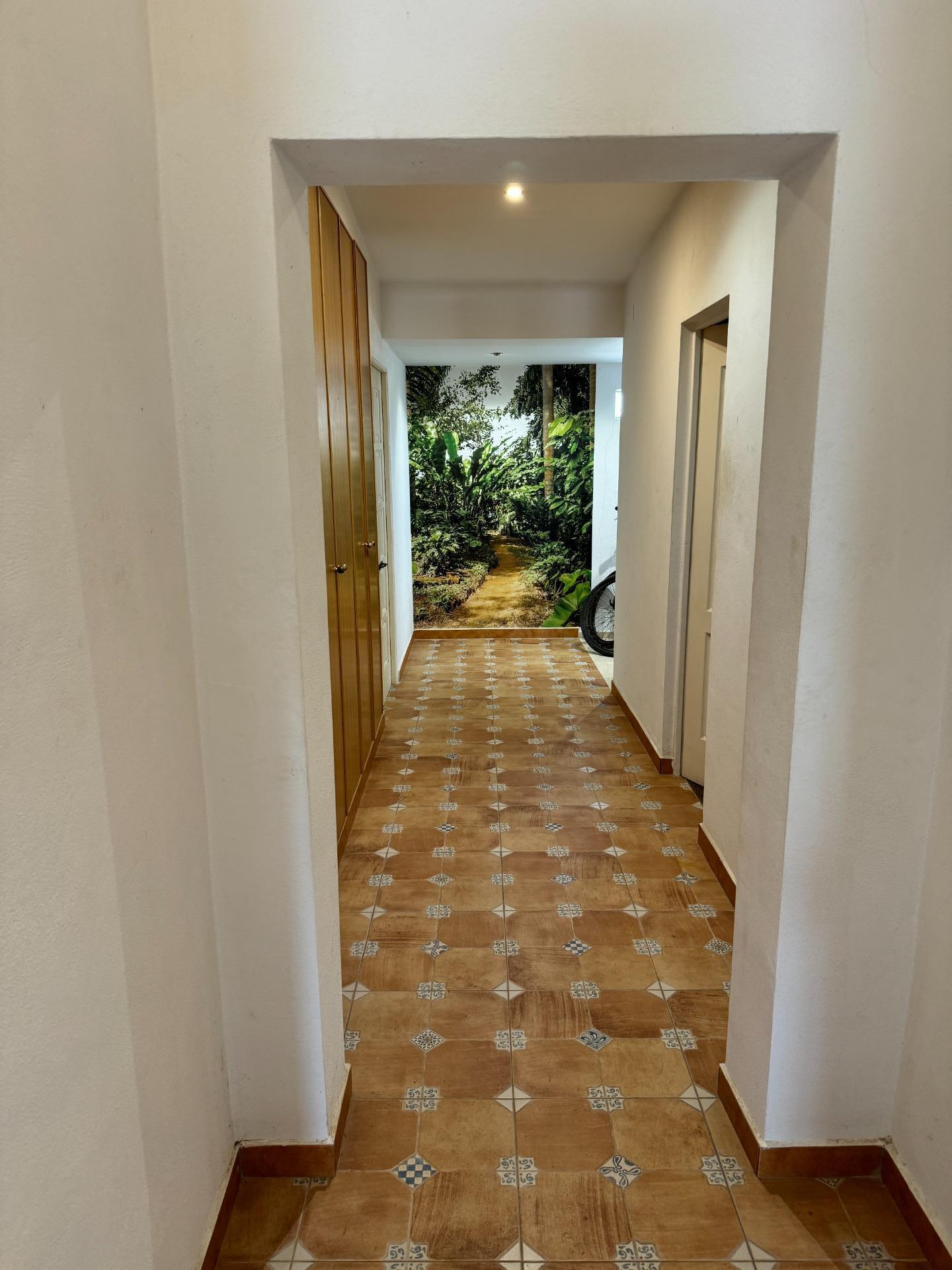 Pisos-Venta-Elche-1461011-Foto-18