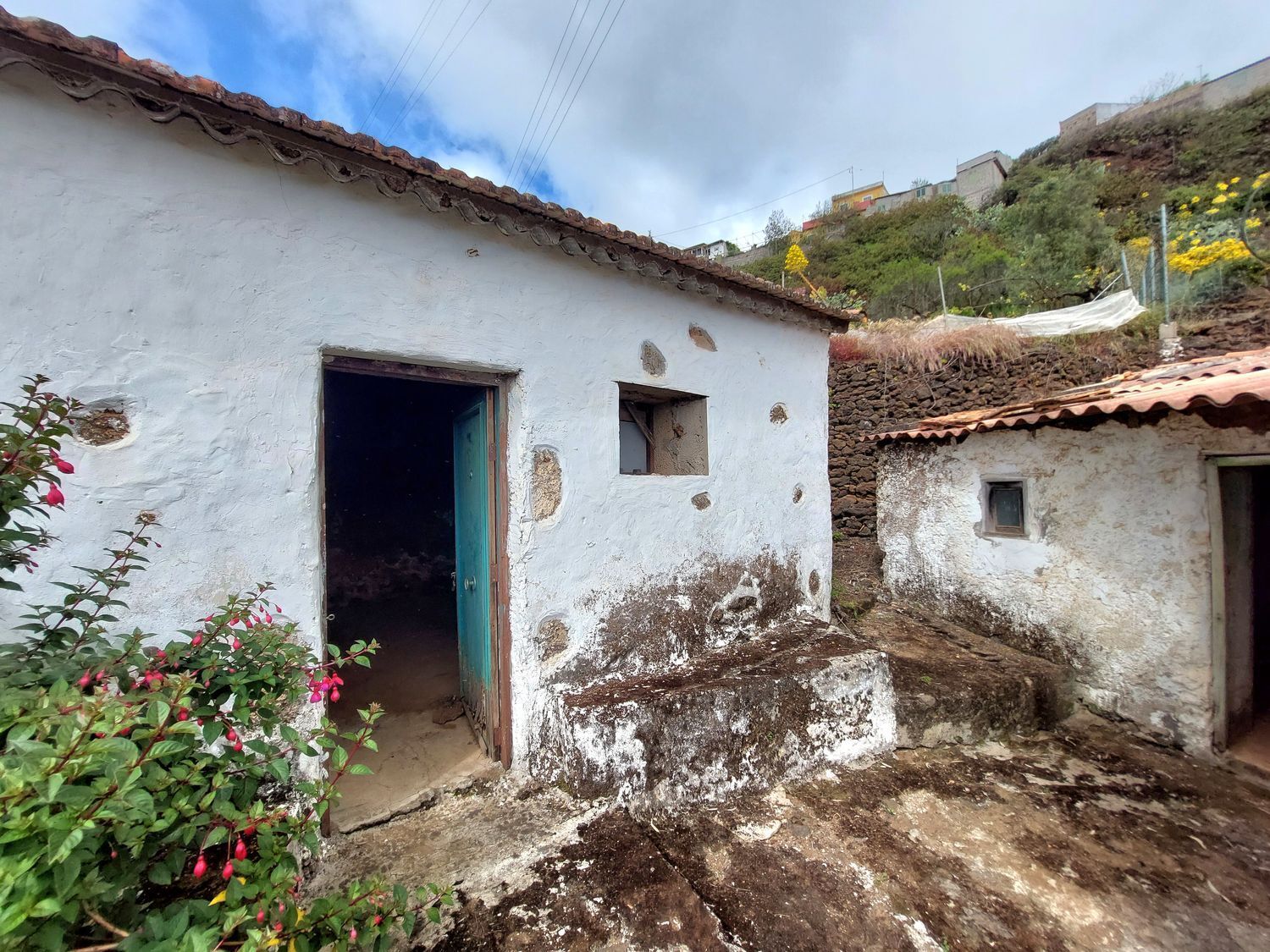 Casas o chalets-Venta-Vega de San Mateo-1720929-Foto-13