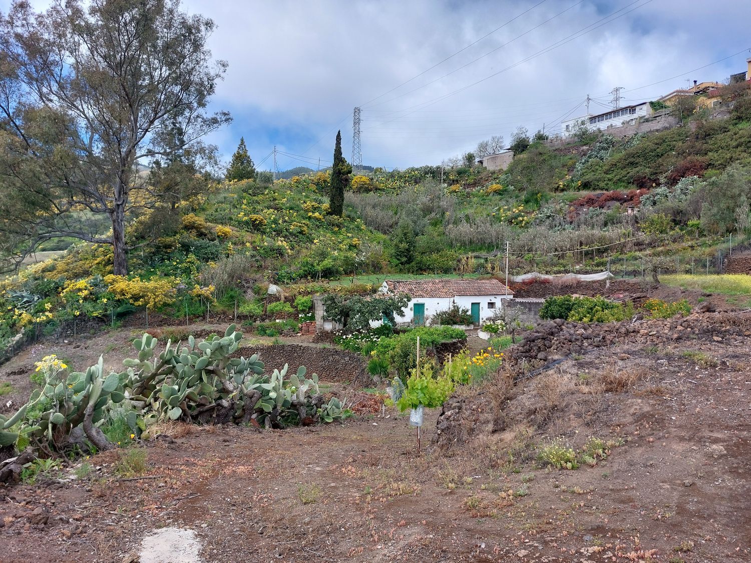 Casas o chalets-Venta-Vega de San Mateo-1720929-Foto-39