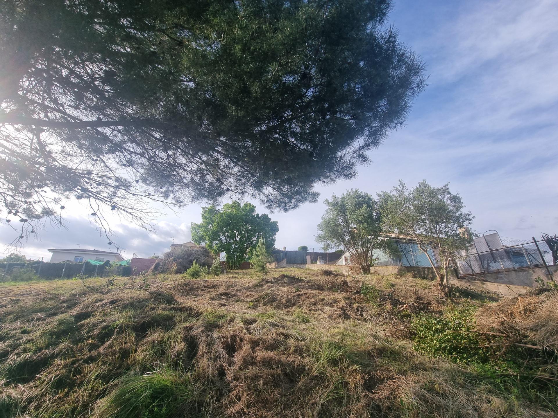 Fincas y solares-Venta-LliÃ§Ã  de Vall-1727444-Foto-4