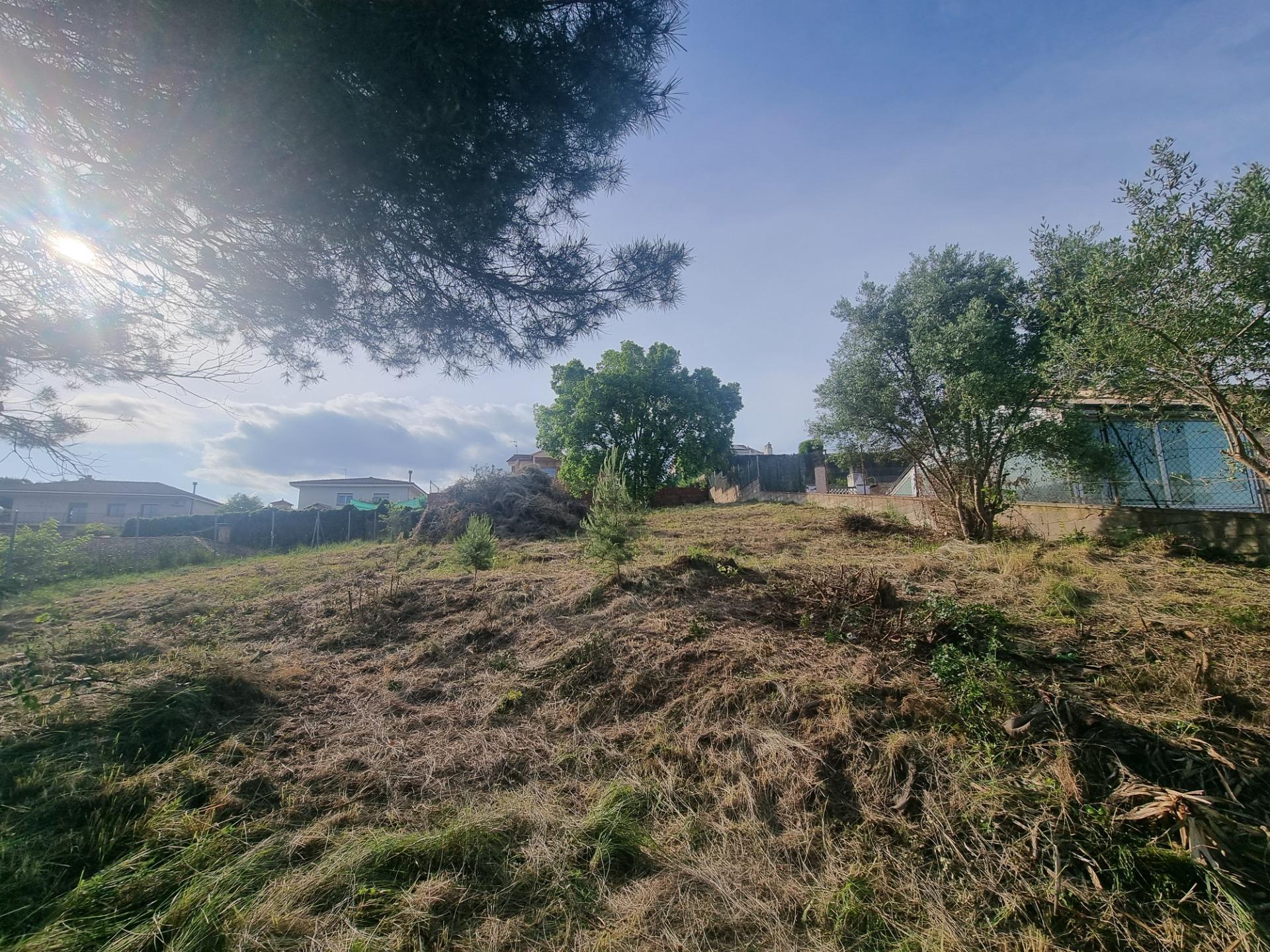 Fincas y solares-Venta-LliÃ§Ã  de Vall-1727444-Foto-8