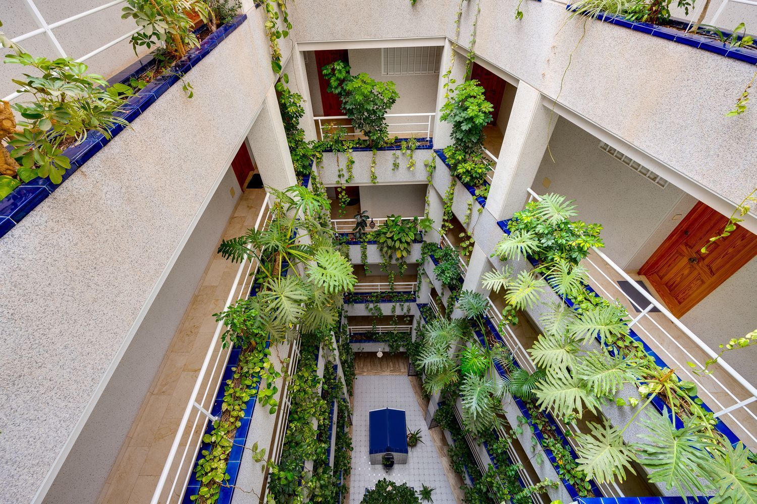 Pisos-Venta-Torrevieja-1717023-Foto-25
