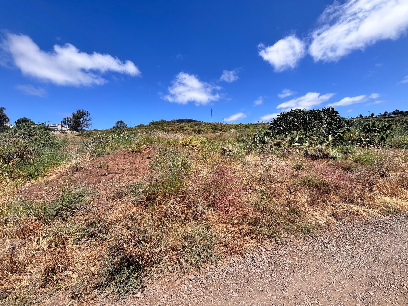 Fincas y solares-Venta-Tacoronte-1748215-Foto-10