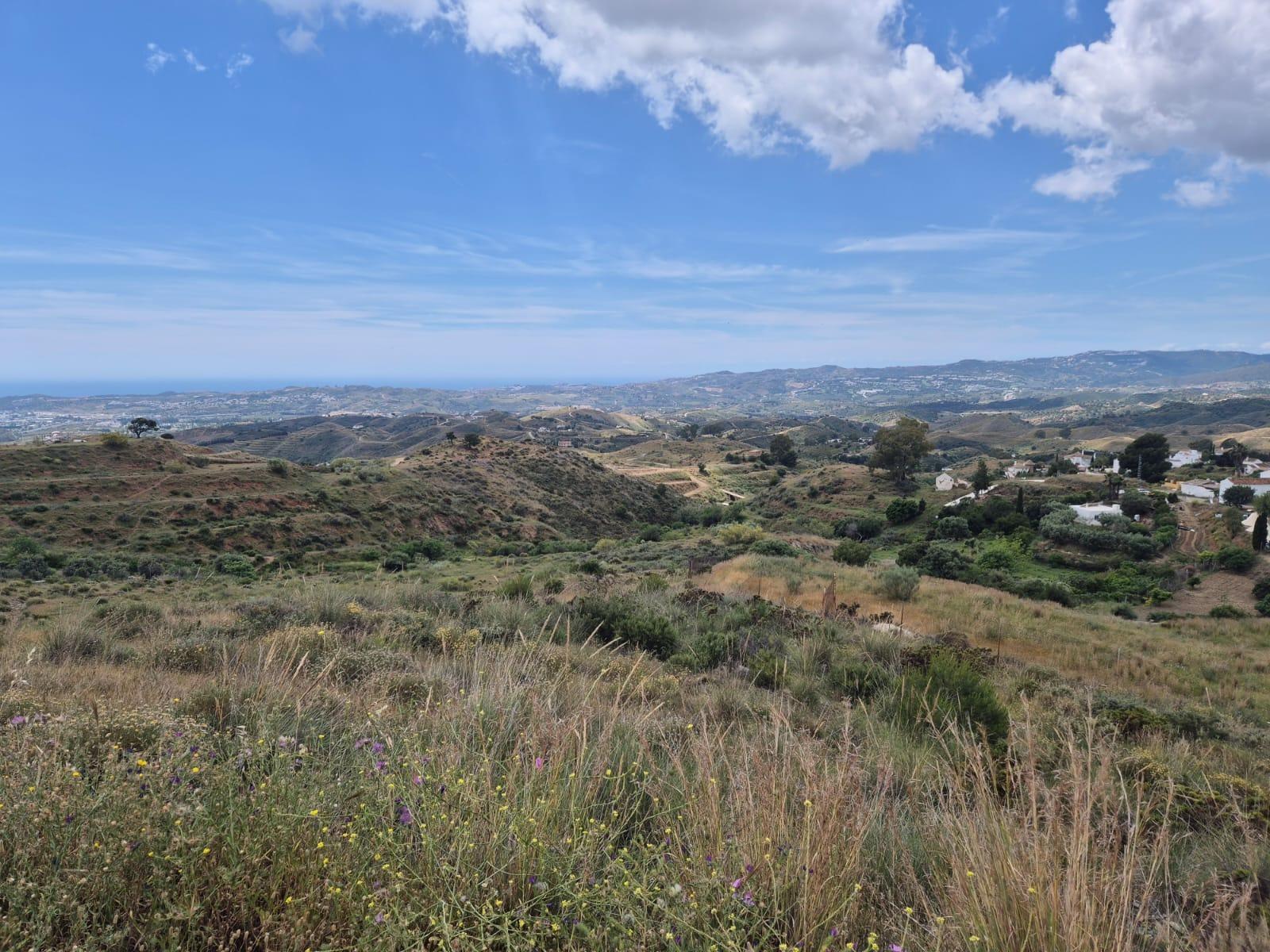 Fincas y solares-Venta-Mijas-1729113-Foto-2