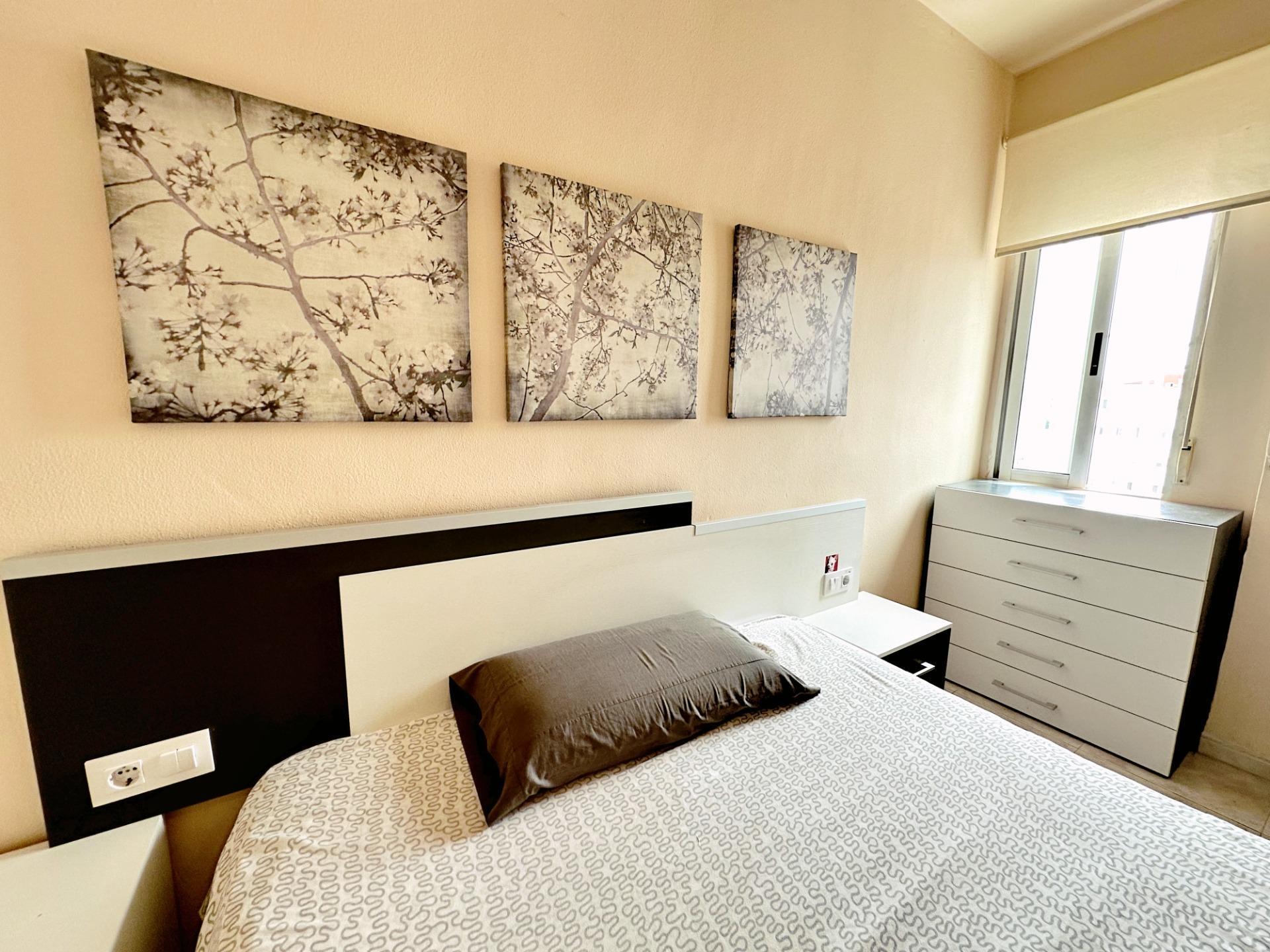 Pisos-Venta-Gandia-1765661-Foto-21