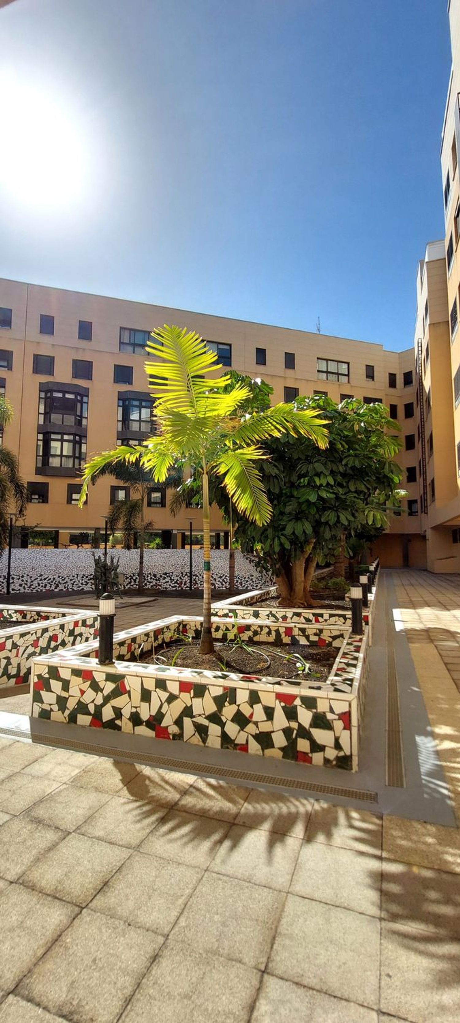 Pisos-Venta-Las Palmas de Gran Canaria-1639774-Foto-44