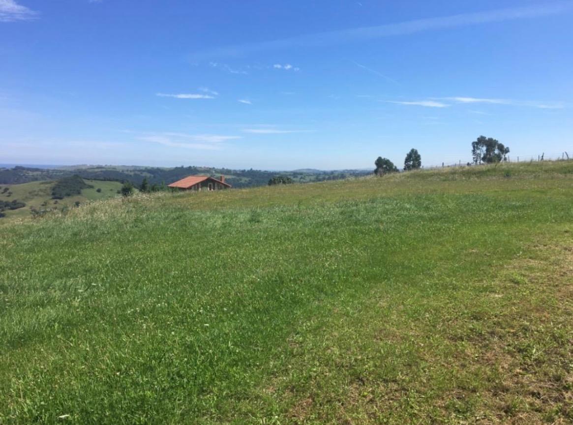 Casas o chalets-Venta-San Vicente de la Barquera-1710366-Foto-61