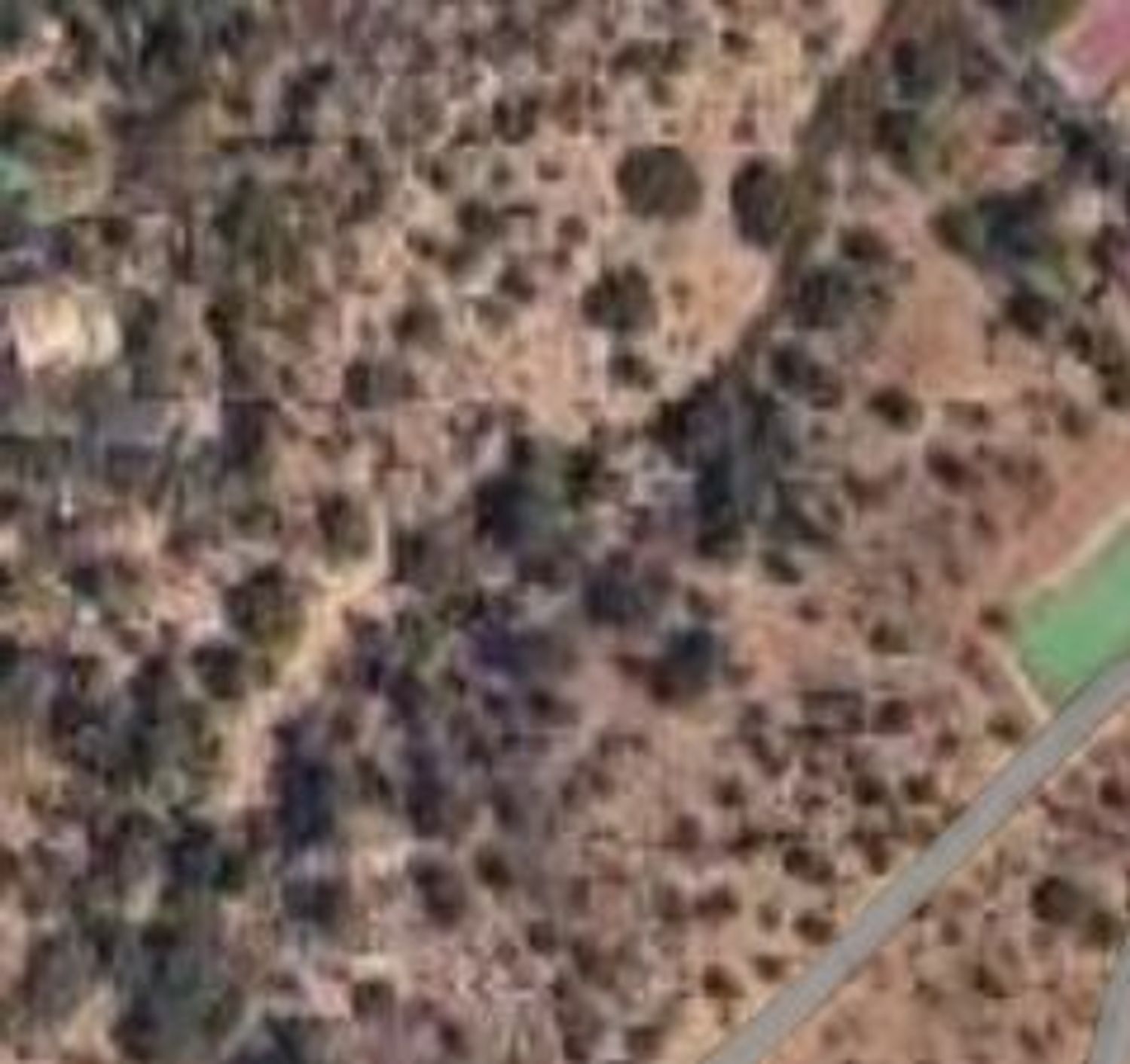 Fincas y solares-Venta-Las Rozas de Madrid-1749629-Foto-7