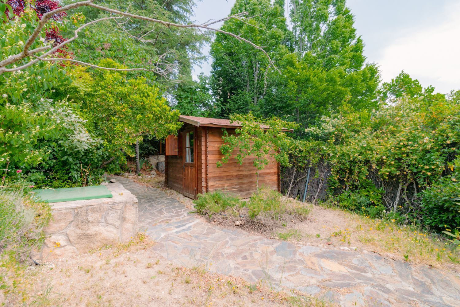 Casas o chalets-Venta-Las Rozas de Madrid-1749367-Foto-49