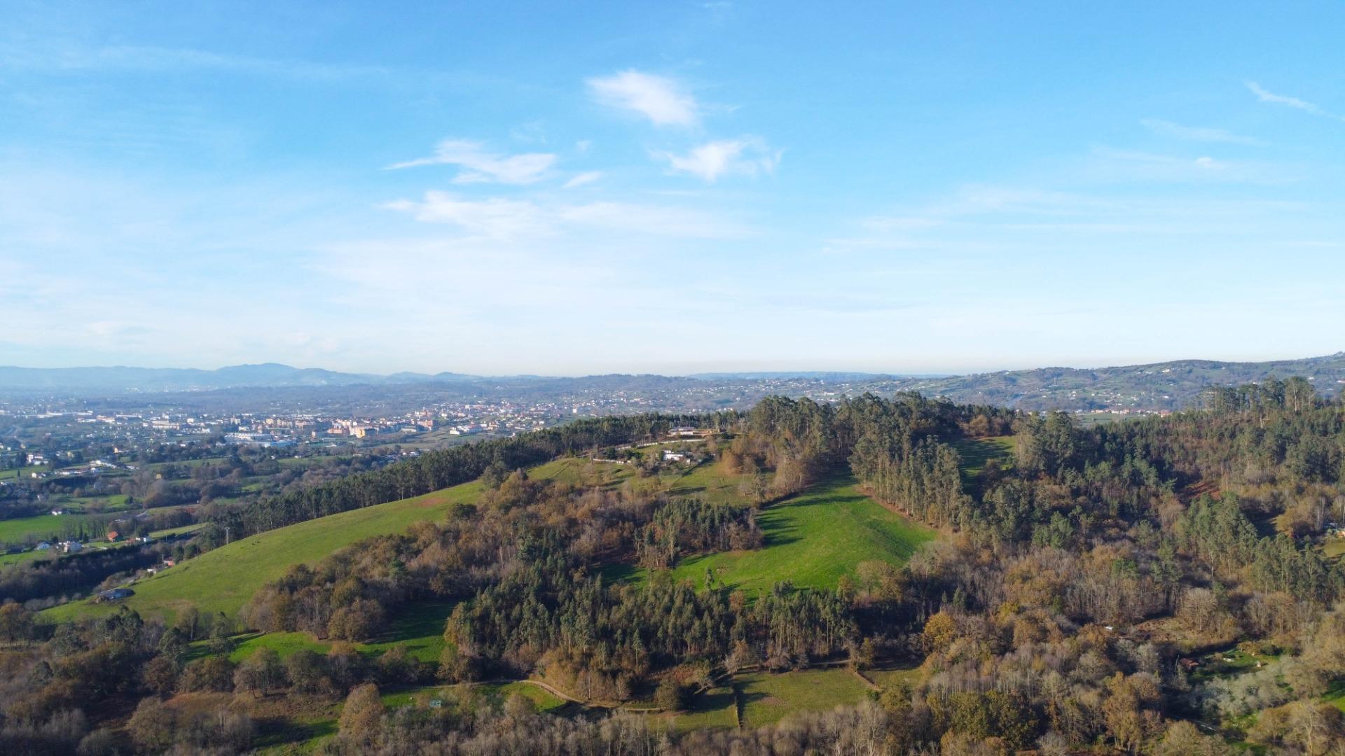 Fincas y solares-Venta-Siero-1508307-Foto-26