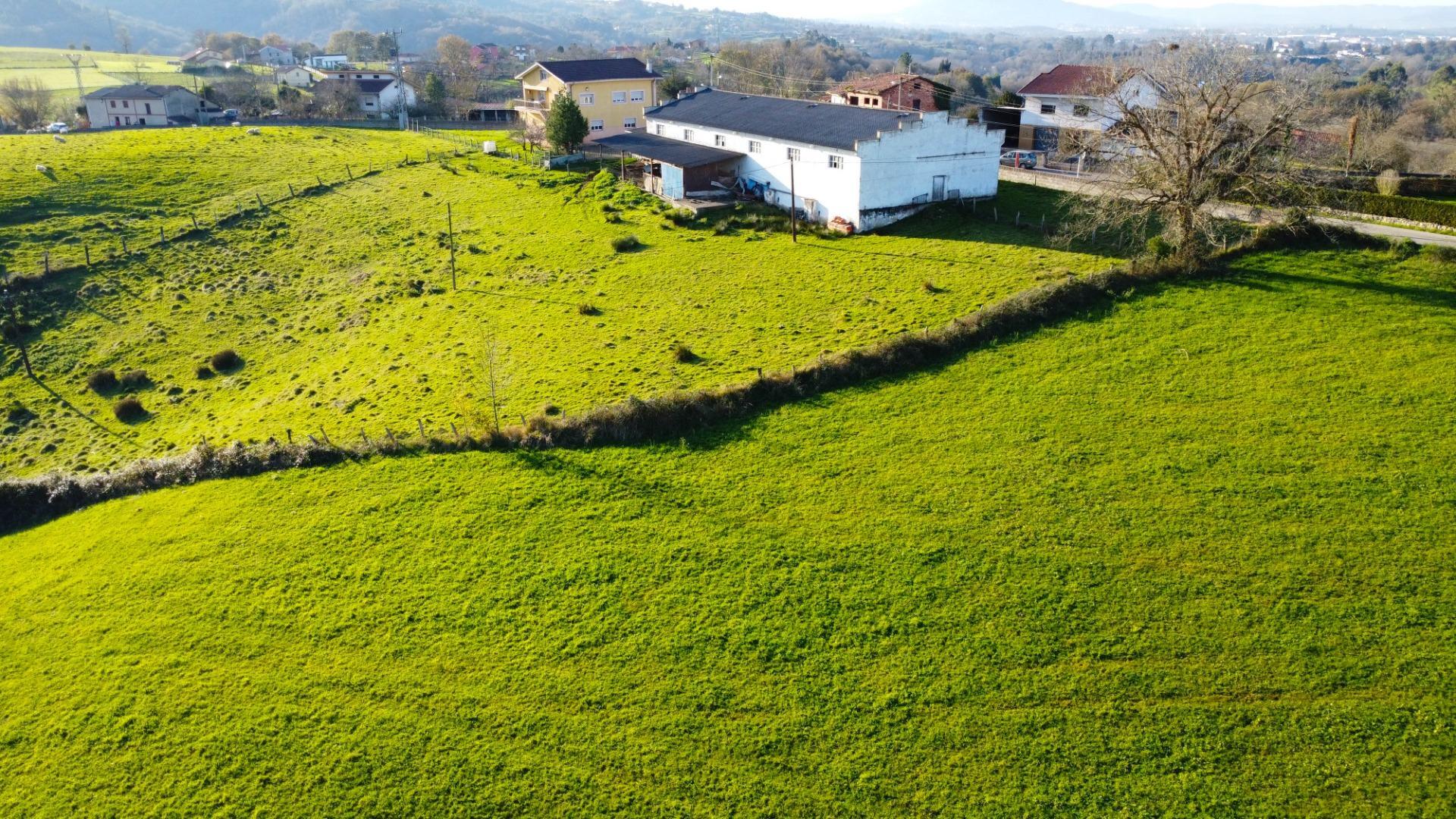 Fincas y solares-Venta-Siero-1508307-Foto-22
