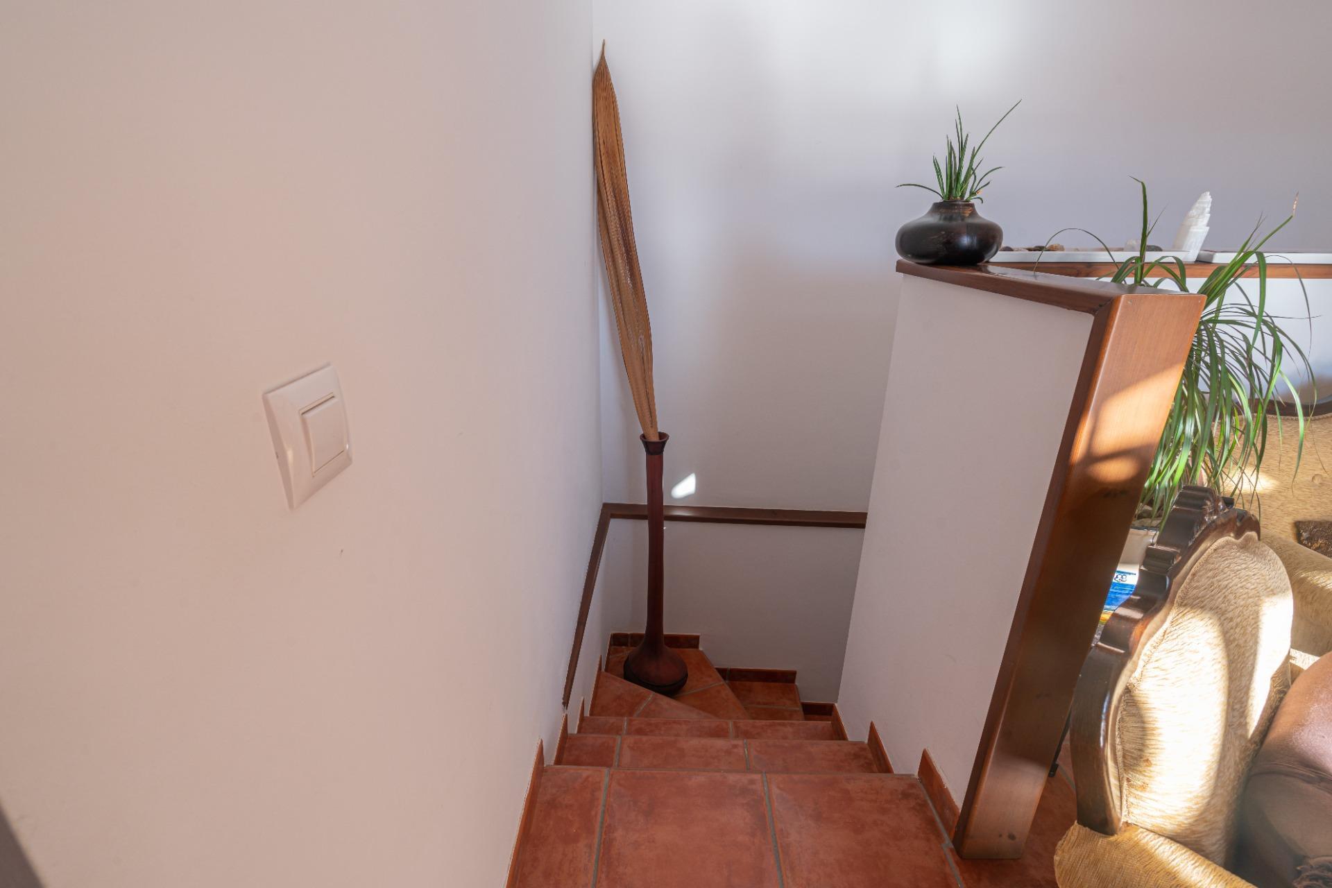 Casas o chalets-Venta-NÃ­jar-1070419-Foto-50