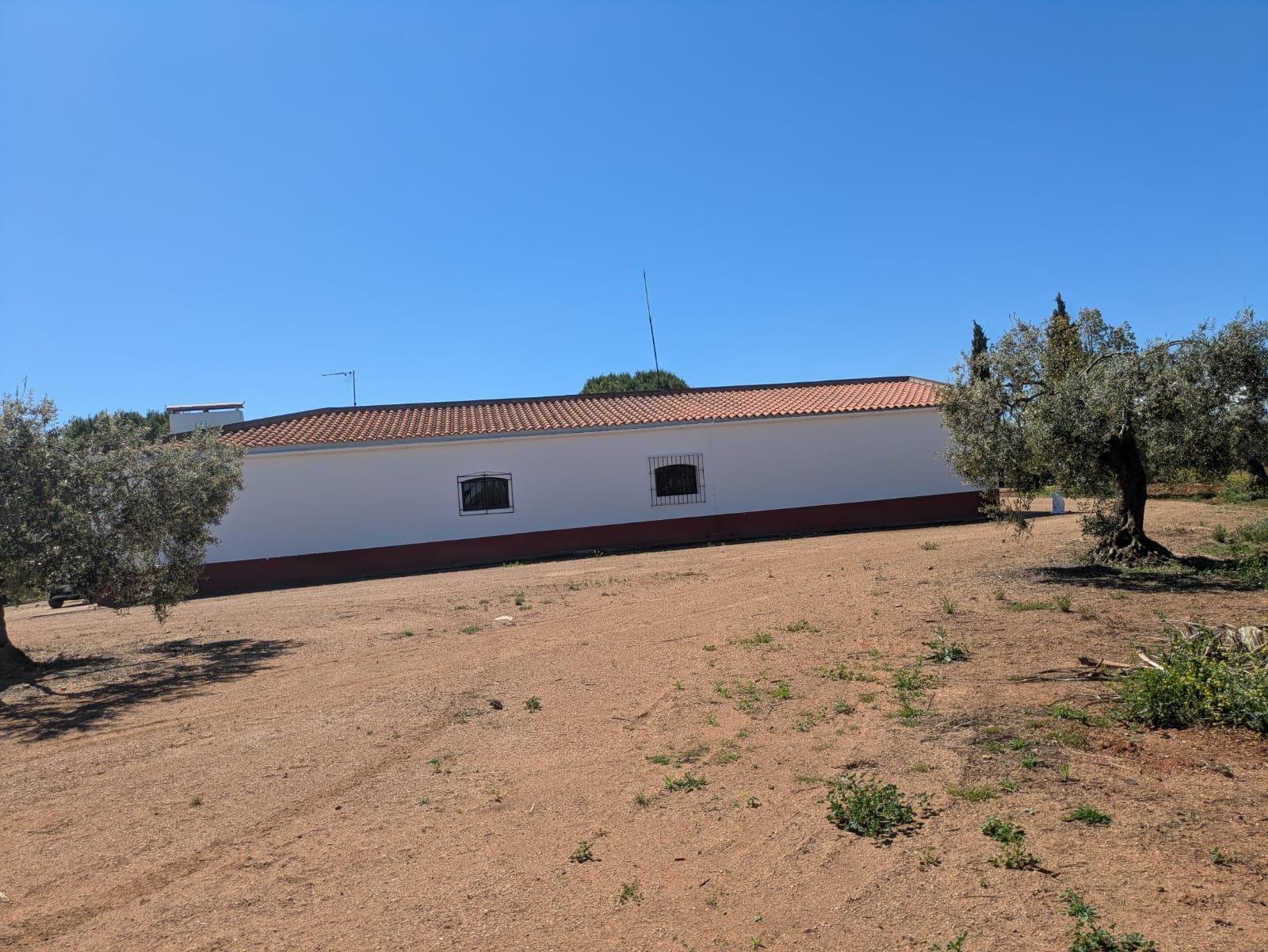 Fincas y solares-Venta-Solana de los Barros-1746748-Foto-2