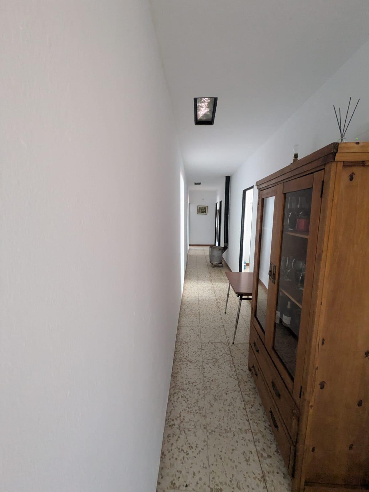 Fincas y solares-Venta-Solana de los Barros-1746748-Foto-7