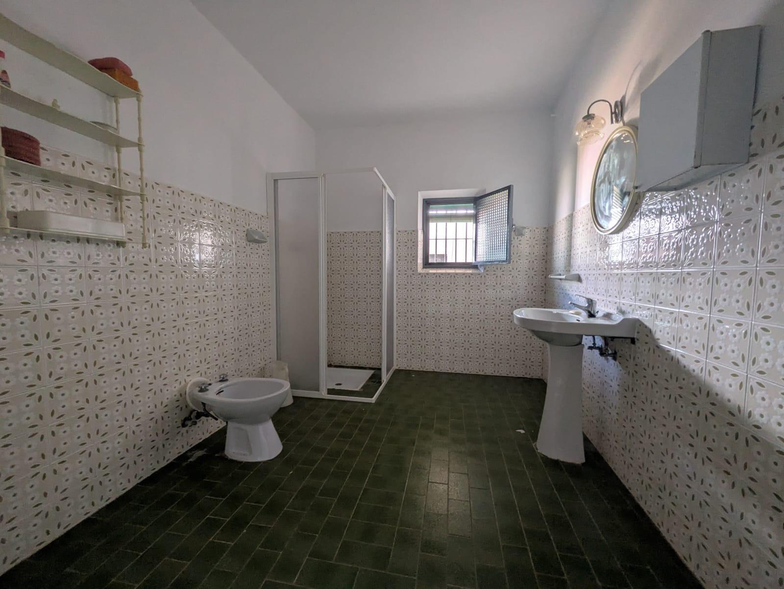 Fincas y solares-Venta-Solana de los Barros-1746748-Foto-10