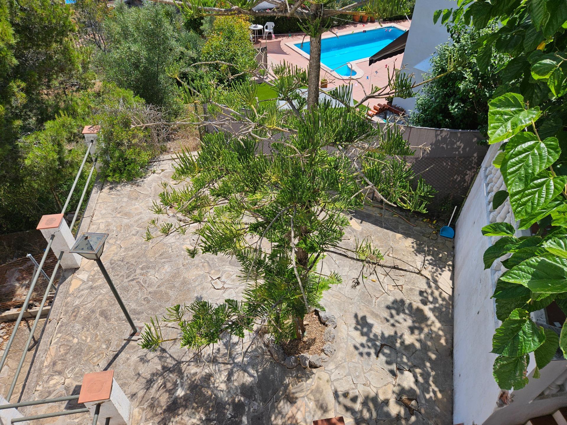 Casas o chalets-Venta-Cubelles-1750642-Foto-27