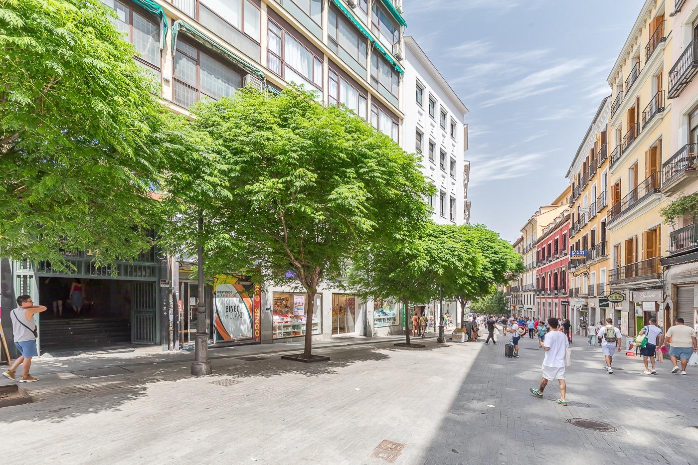 Pisos-Venta-Madrid-1751155-Foto-42