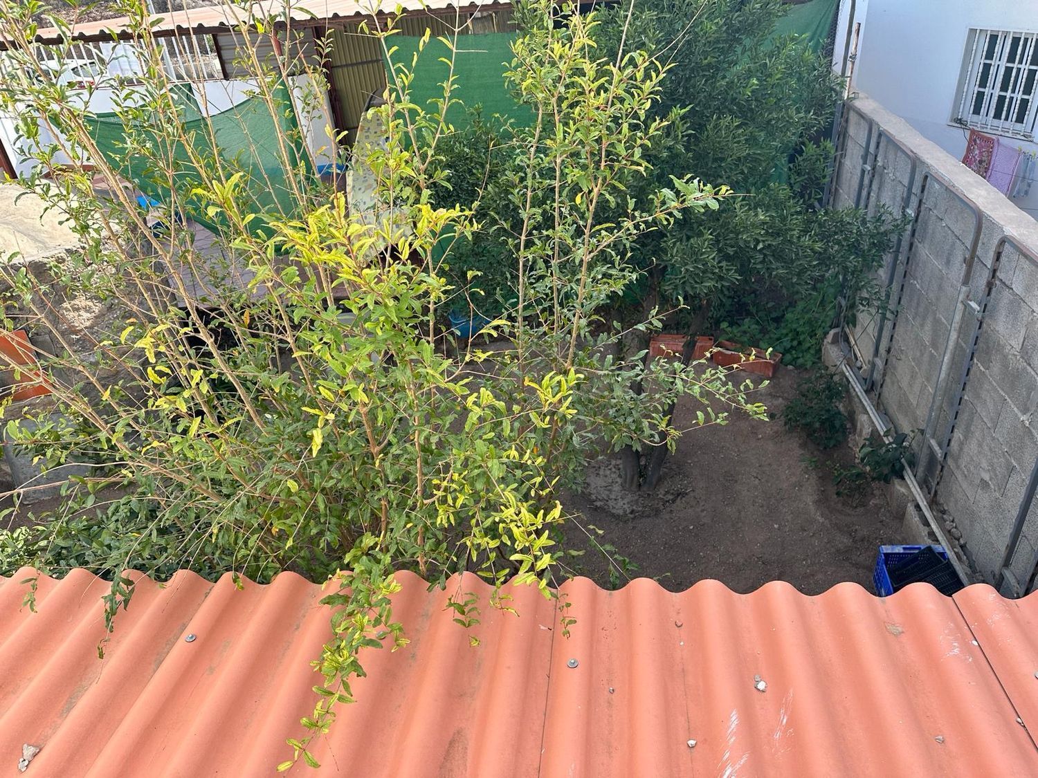 Casas o chalets-Venta-MogÃ¡n-1751176-Foto-28