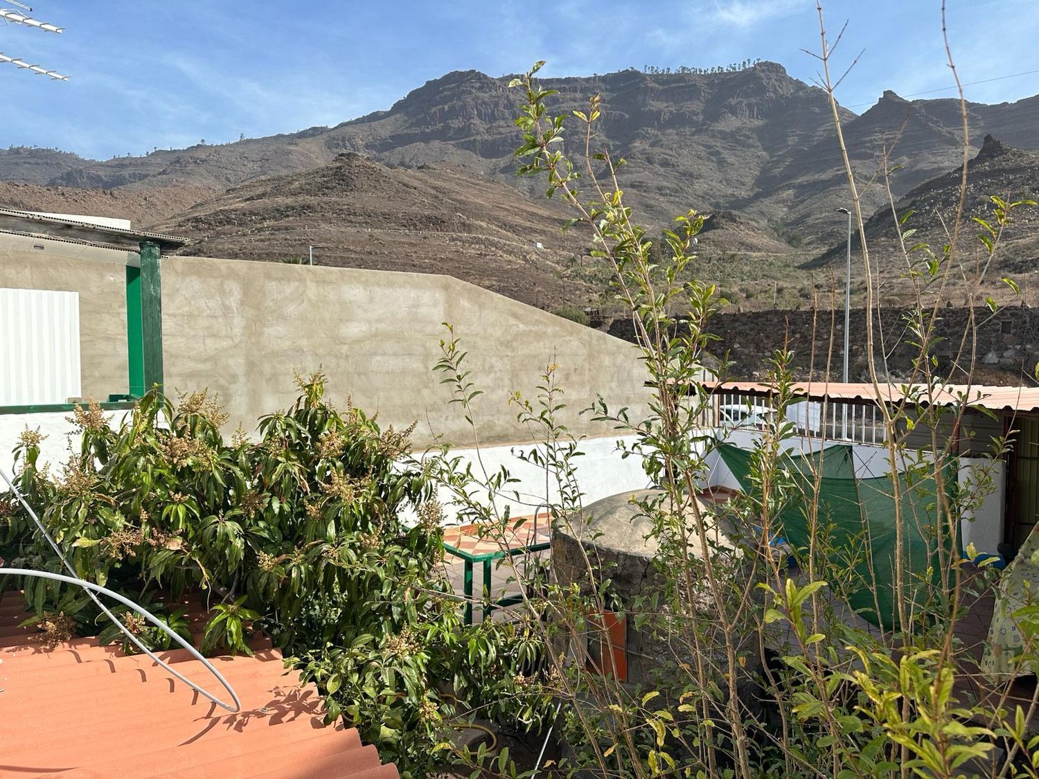 Casas o chalets-Venta-MogÃ¡n-1751176-Foto-29