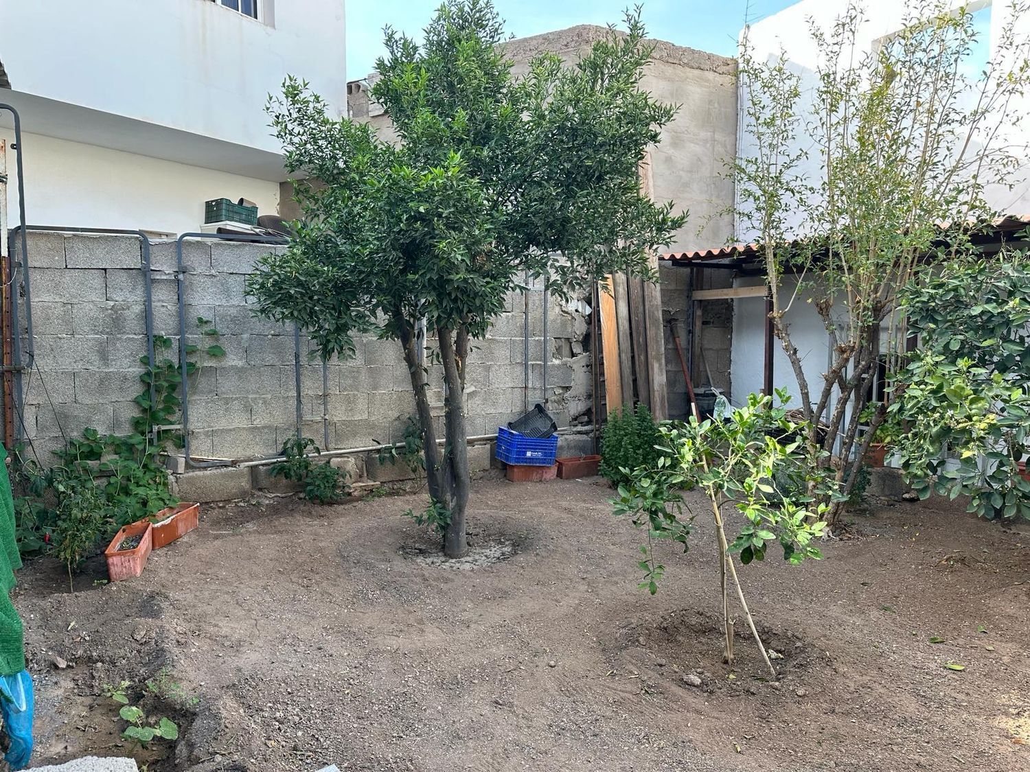 Casas o chalets-Venta-MogÃ¡n-1751176-Foto-35