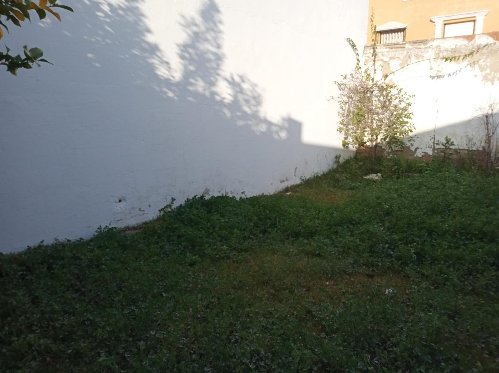 Fincas y solares-Venta-Cantillana-1976112-Foto-4