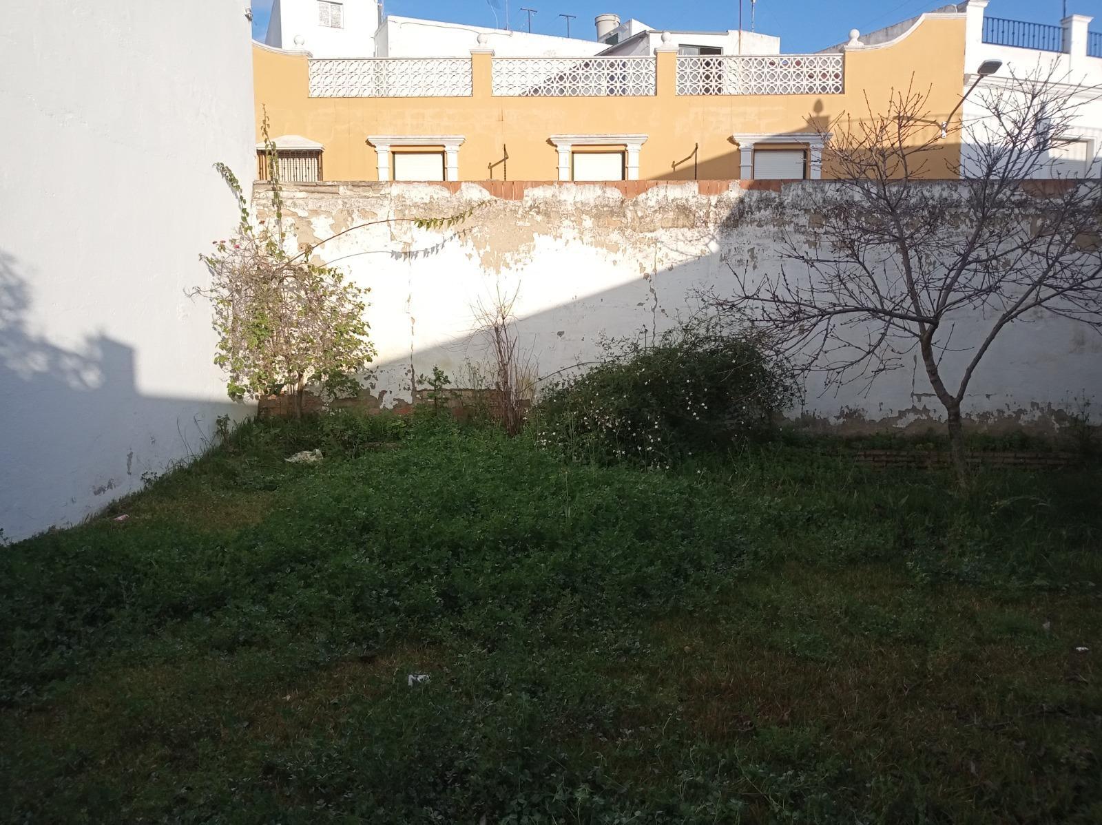 Fincas y solares-Venta-Cantillana-1976112-Foto-3