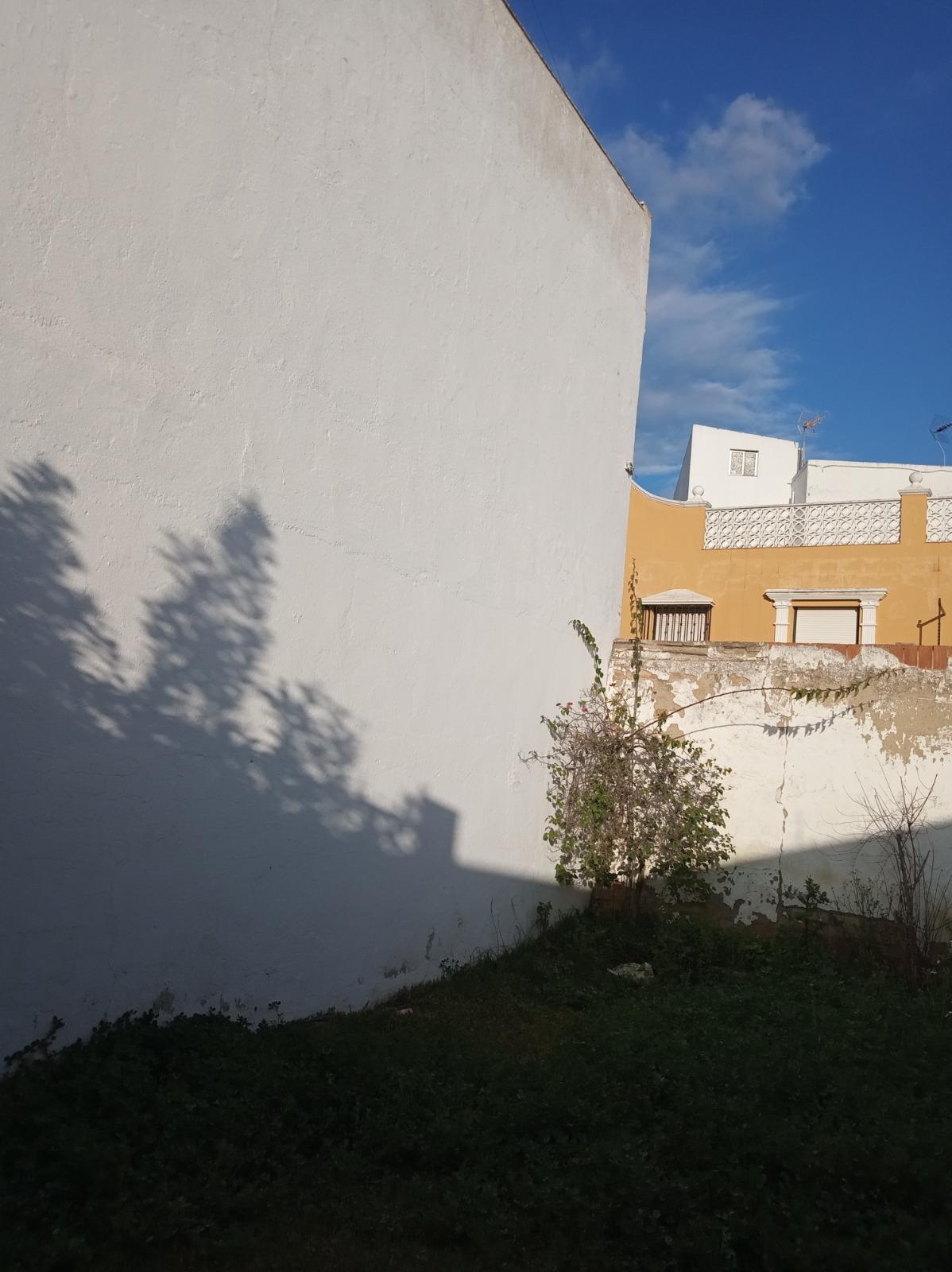 Fincas y solares-Venta-Cantillana-1976112-Foto-8