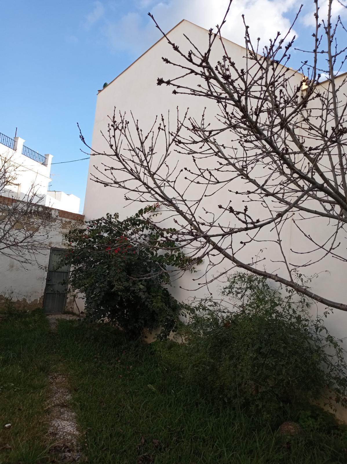 Fincas y solares-Venta-Cantillana-1976112-Foto-9