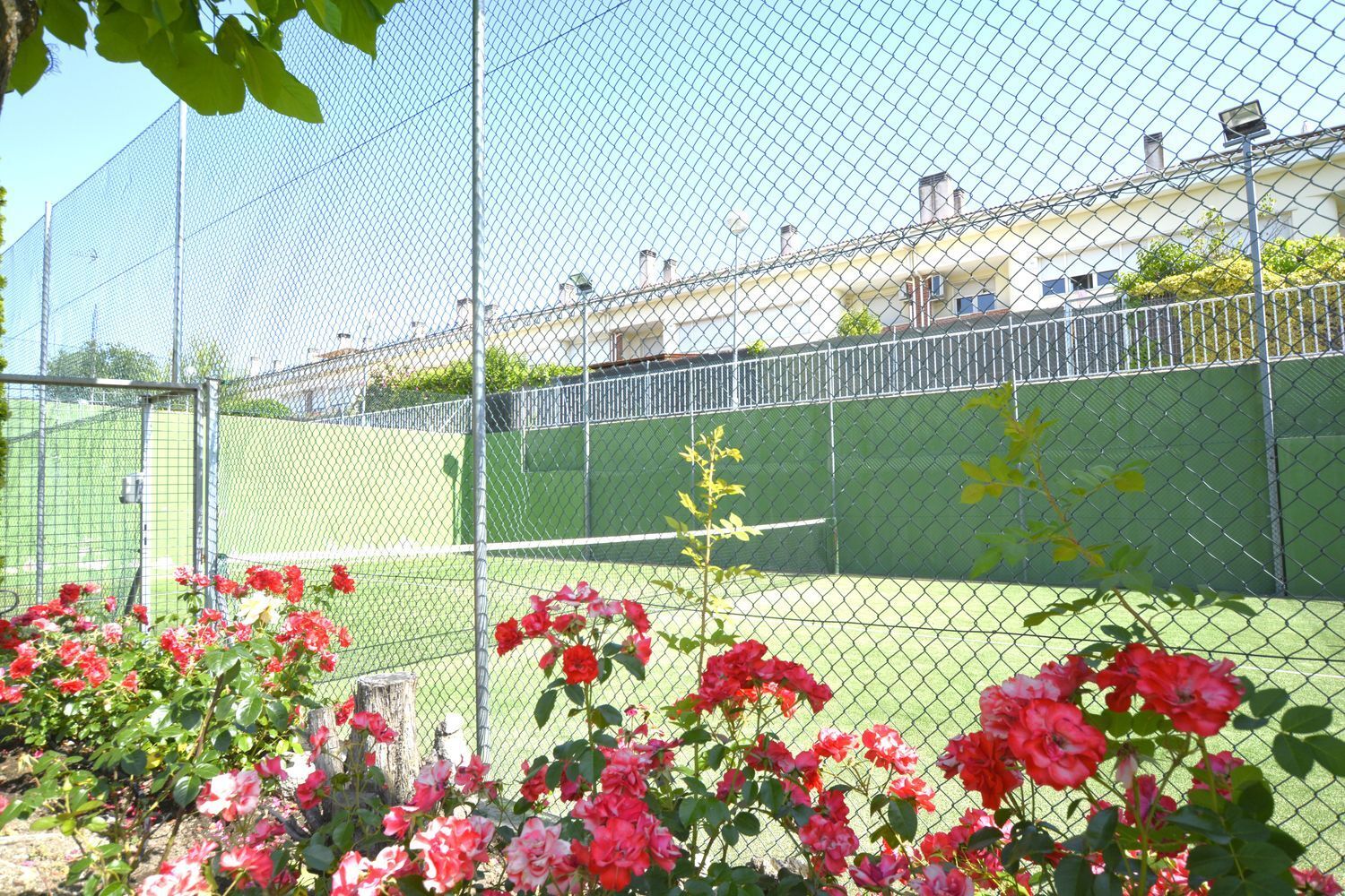 Casas o chalets-Venta-San AgustÃ­n del Guadalix-1752303-Foto-4