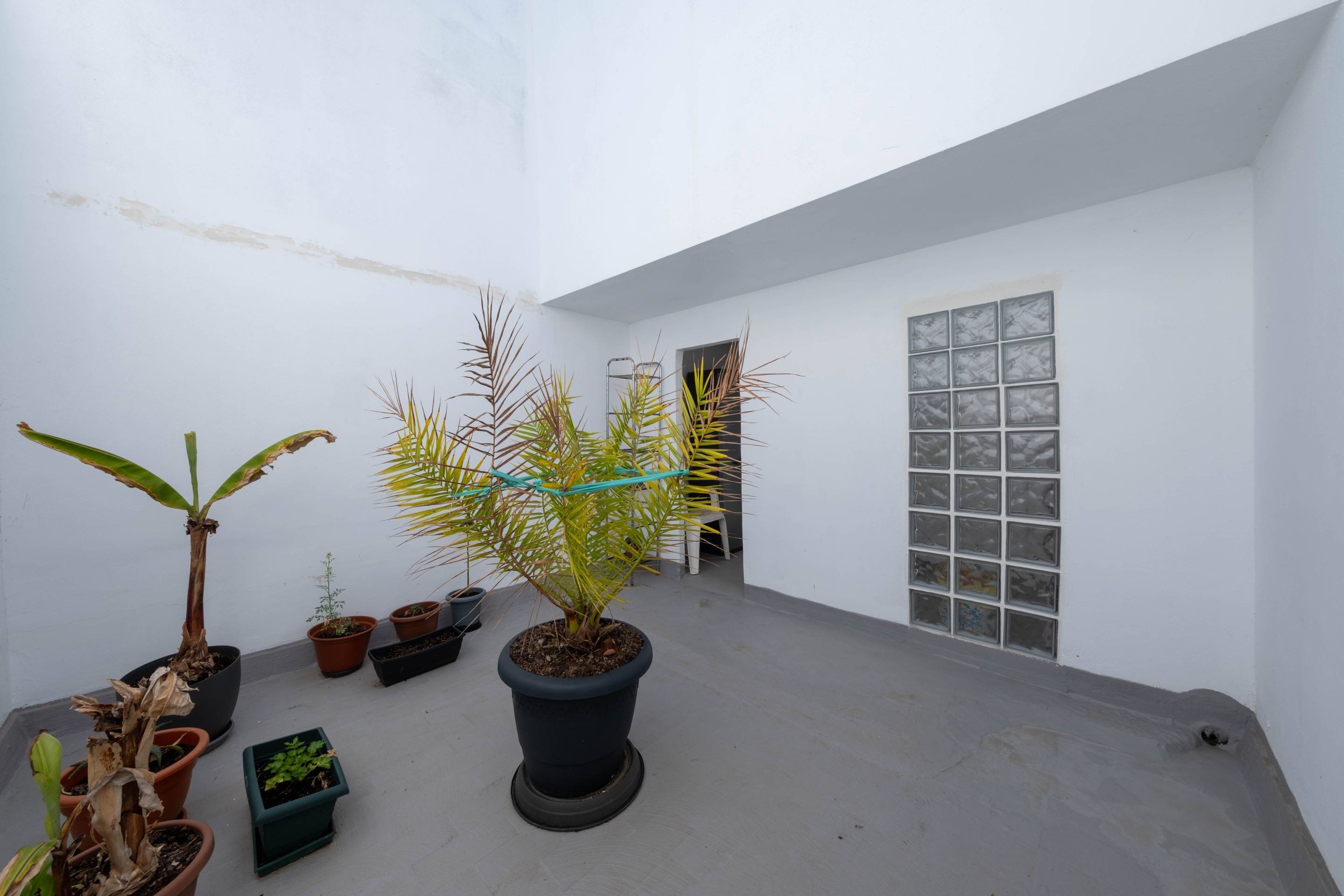 Casas o chalets-Venta-Arucas-1713167-Foto-29