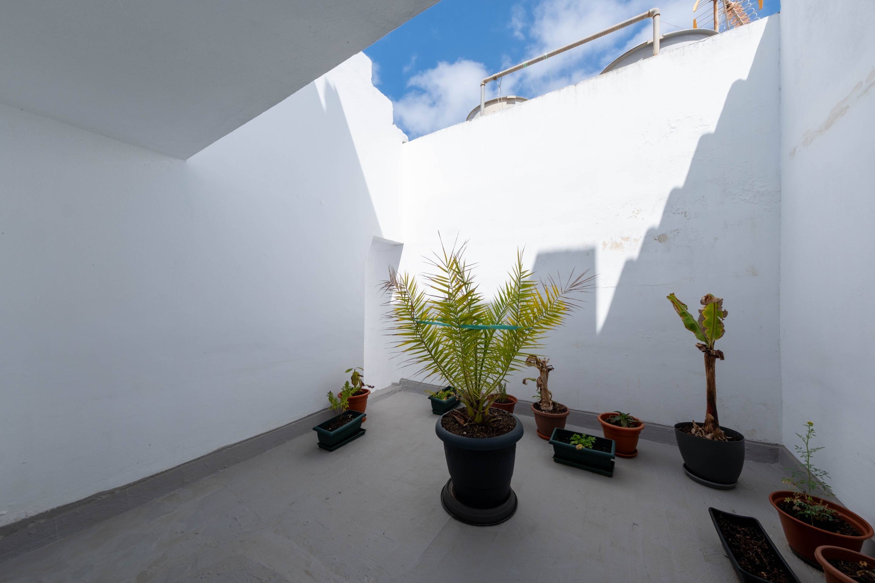 Casas o chalets-Venta-Arucas-1713167-Foto-30