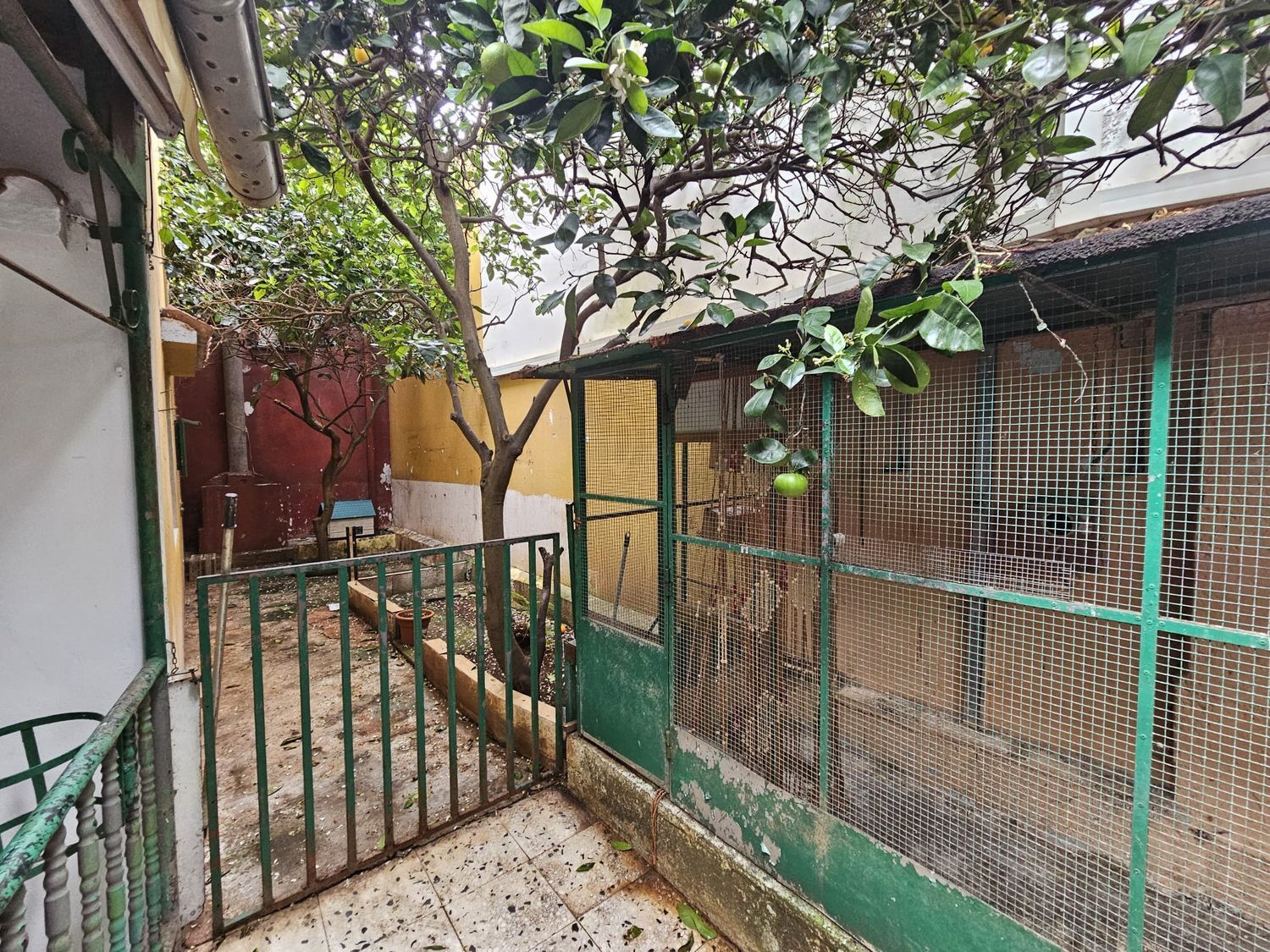 Casas o chalets-Venta-Teror-1752597-Foto-21
