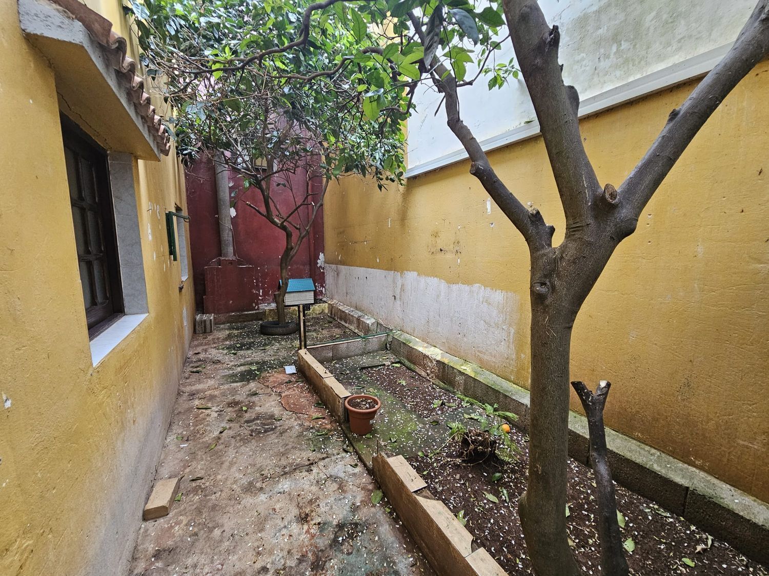 Casas o chalets-Venta-Teror-1752597-Foto-22