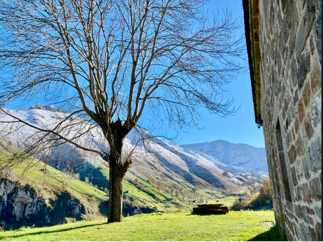 Casas o chalets-Venta-San Roque de Riomera	-1752935-Foto-2
