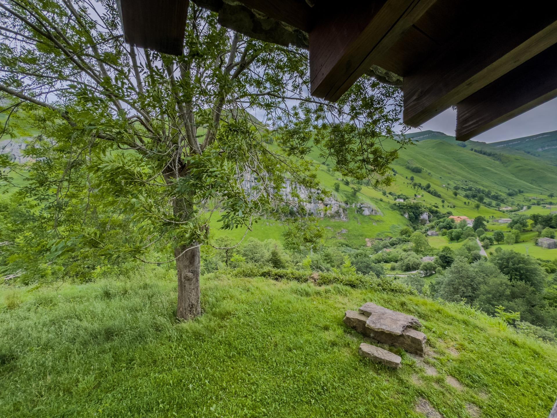 Casas o chalets-Venta-San Roque de Riomera	-1752935-Foto-29