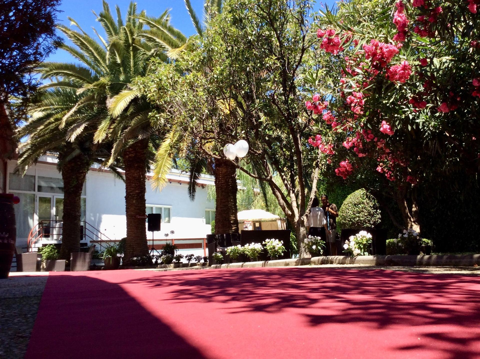 Negocios-Venta-Fontellas-1976139-Foto-47