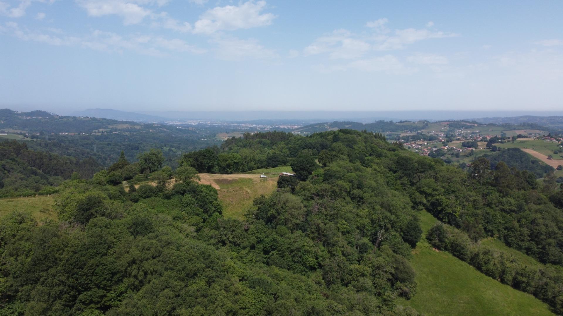 Casas o chalets-Venta-Siero-1754151-Foto-51