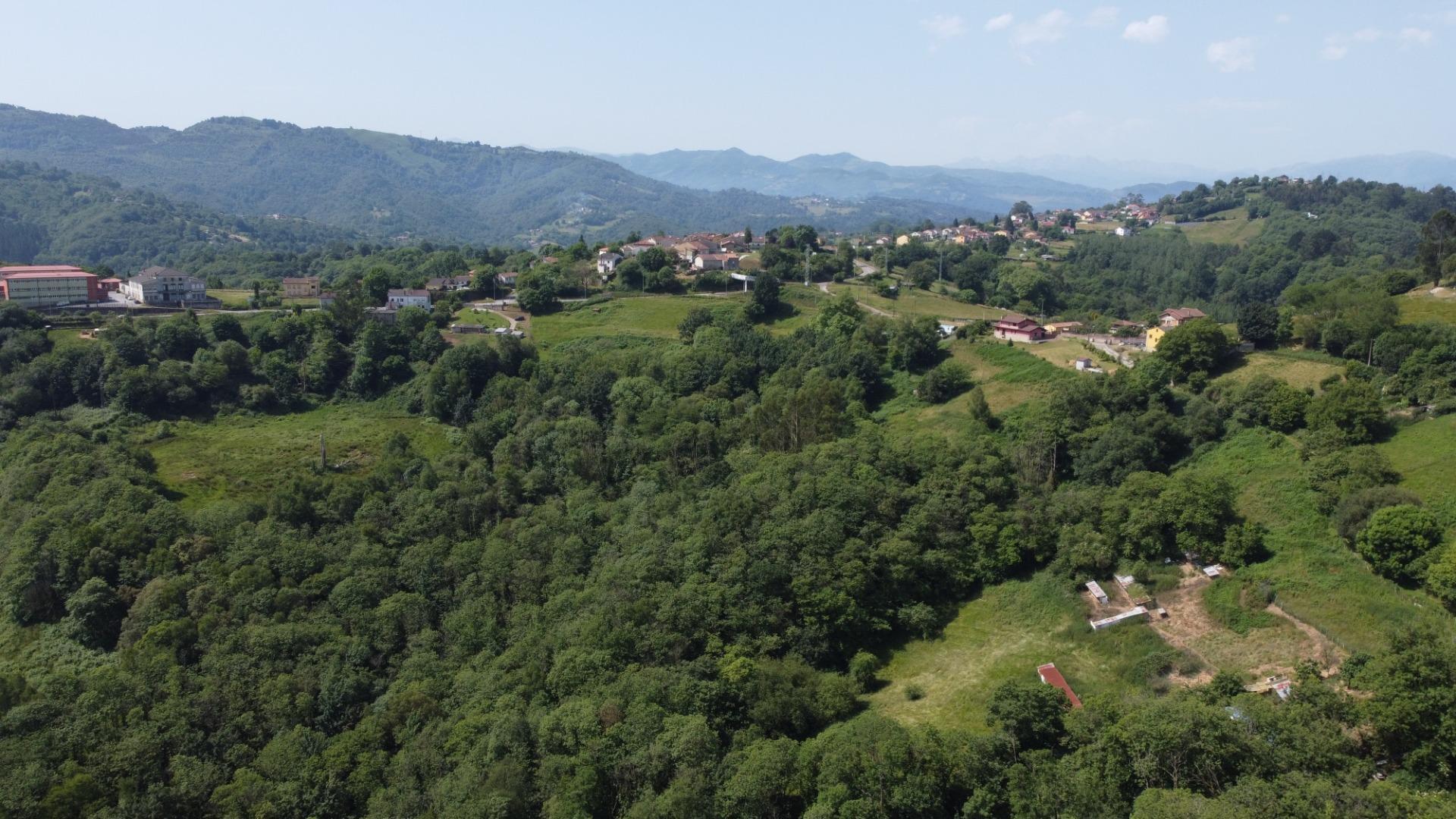 Casas o chalets-Venta-Siero-1754151-Foto-55