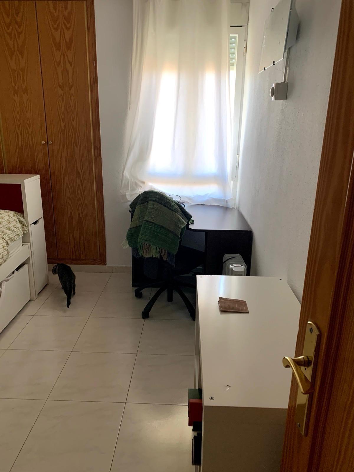 Pisos-Venta-Palma de Mallorca-1731760-Foto-8