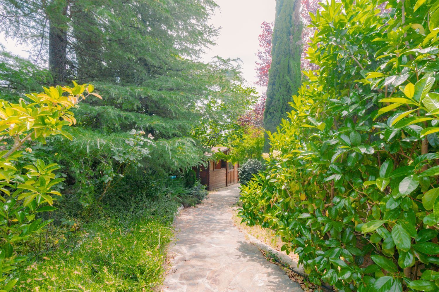 Casas o chalets-Venta-Las Rozas de Madrid-1749367-Foto-47