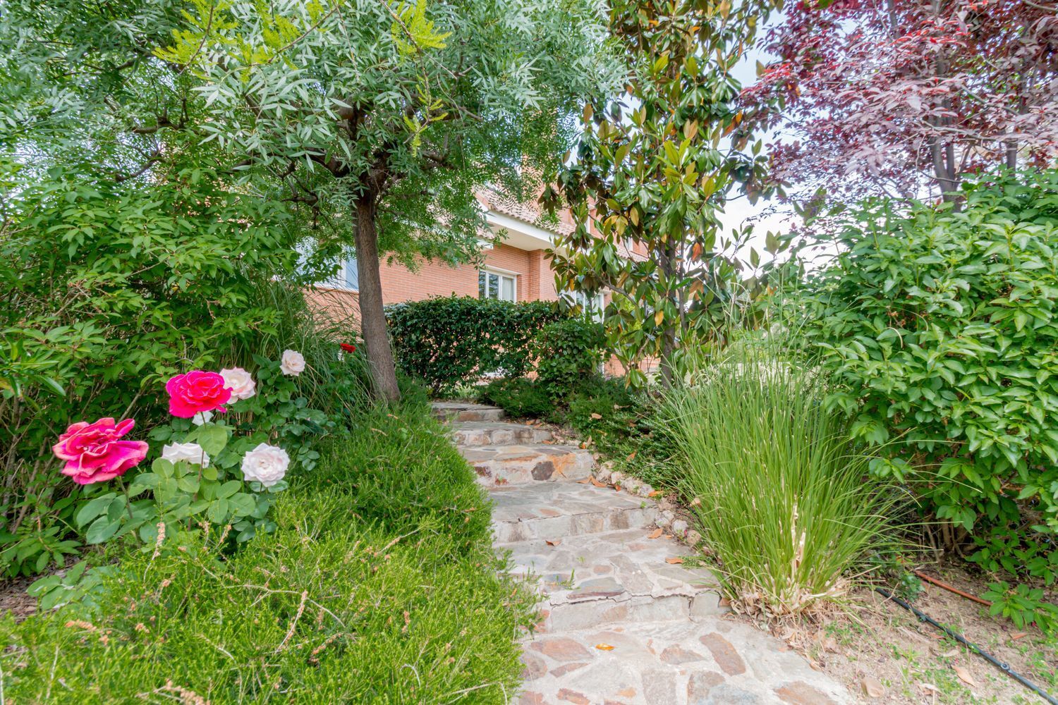 Casas o chalets-Venta-Las Rozas de Madrid-1749367-Foto-52