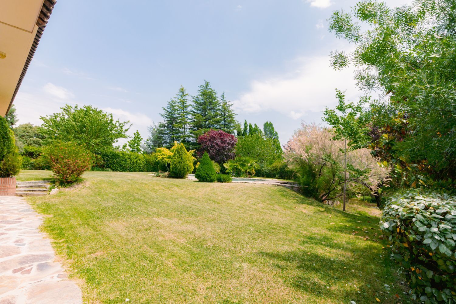 Casas o chalets-Venta-Las Rozas de Madrid-1749367-Foto-54