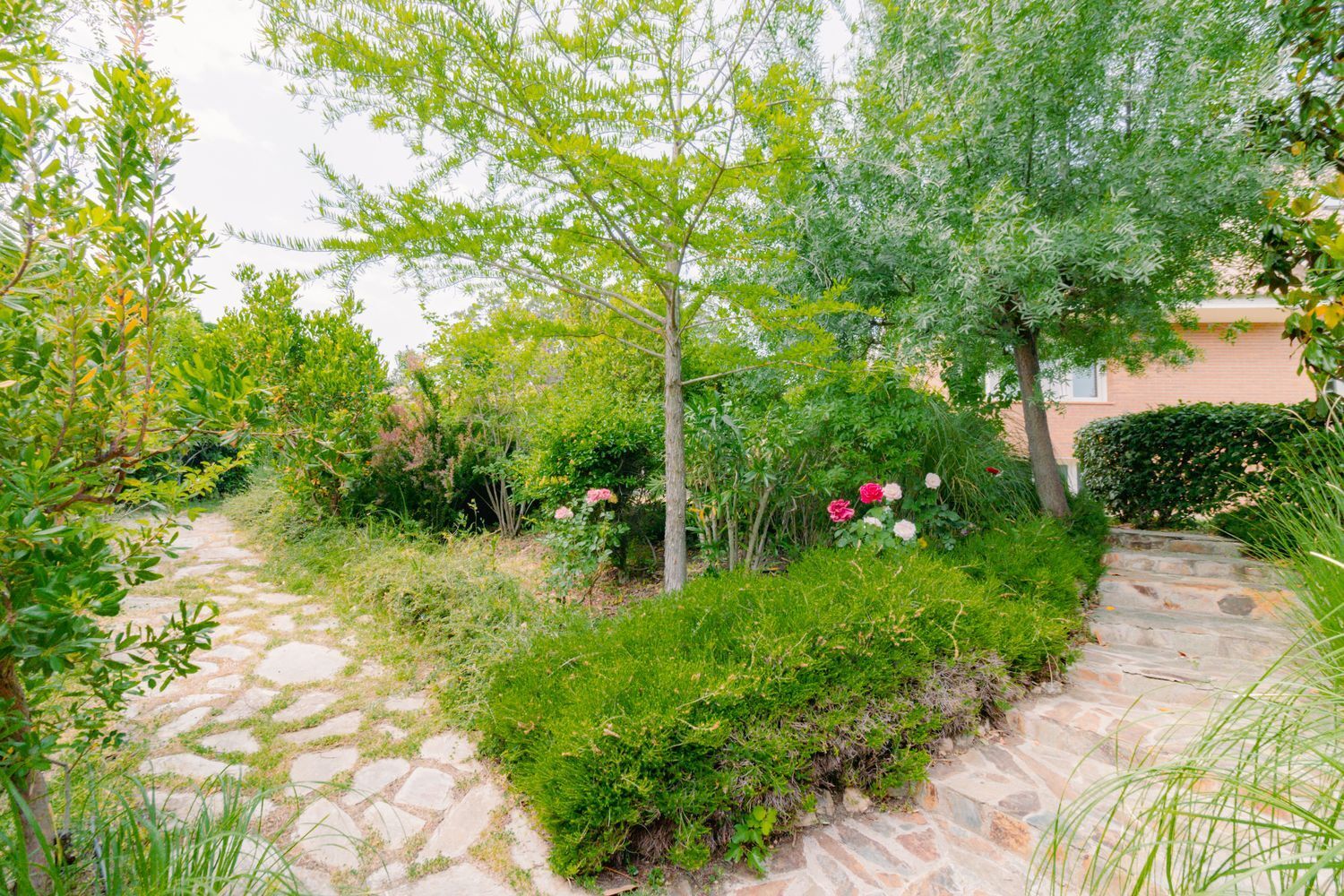 Casas o chalets-Venta-Las Rozas de Madrid-1749367-Foto-56