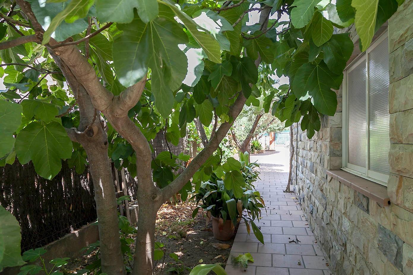 Casas o chalets-Venta-LliÃ§Ã  d
