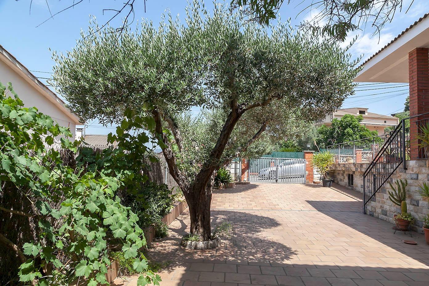 Casas o chalets-Venta-LliÃ§Ã  d