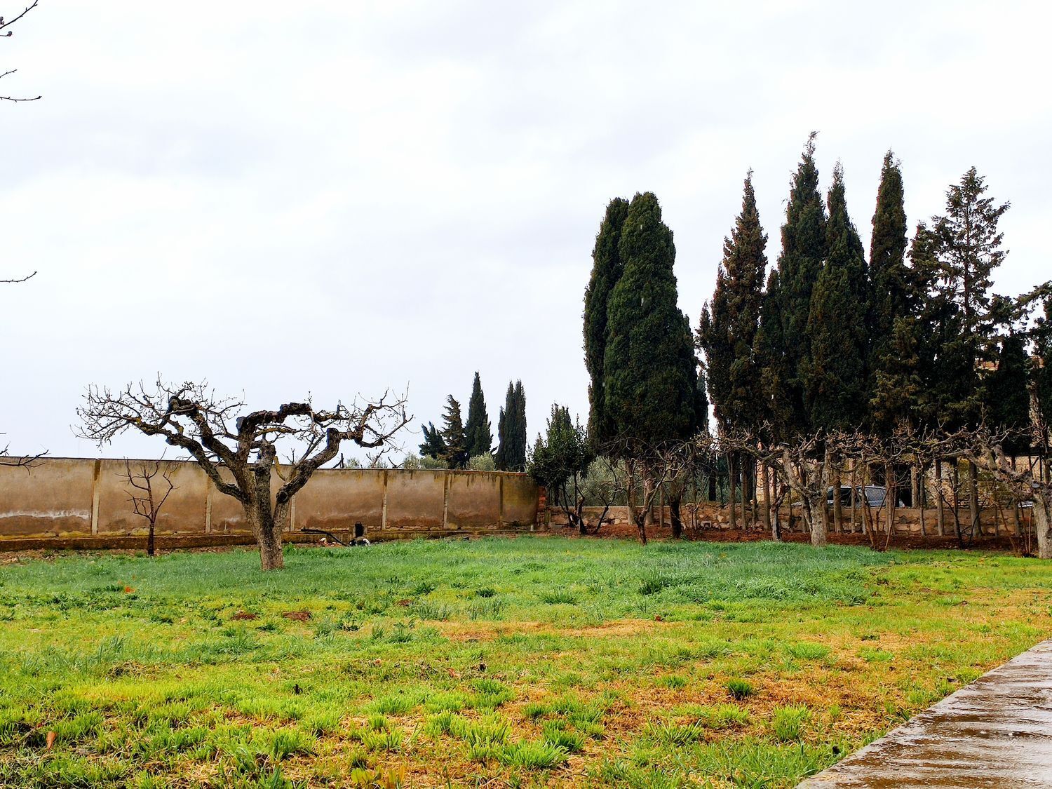 Casas o chalets-Venta-Cabanillas-1726985-Foto-8