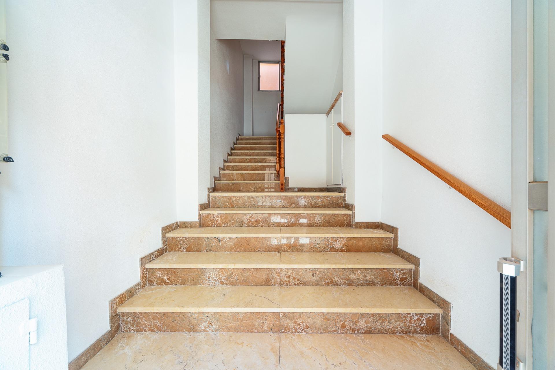 Edificios-Venta-Mula-1685539-Foto-7