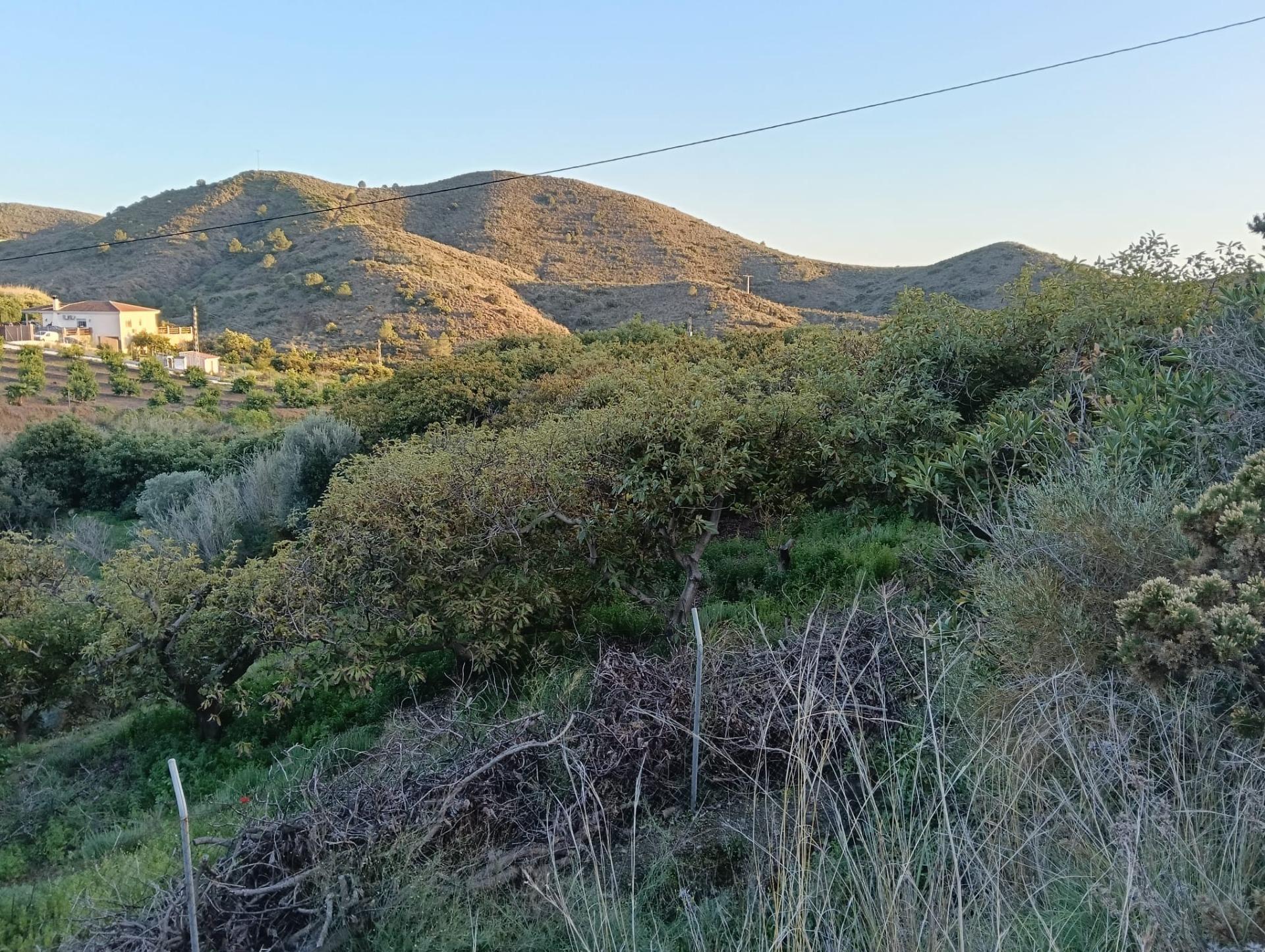 Fincas y solares-Venta-AlhaurÃ­n el Grande-1642748-Foto-12